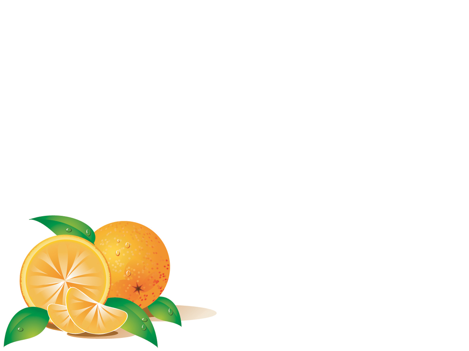 Fruits orange vector