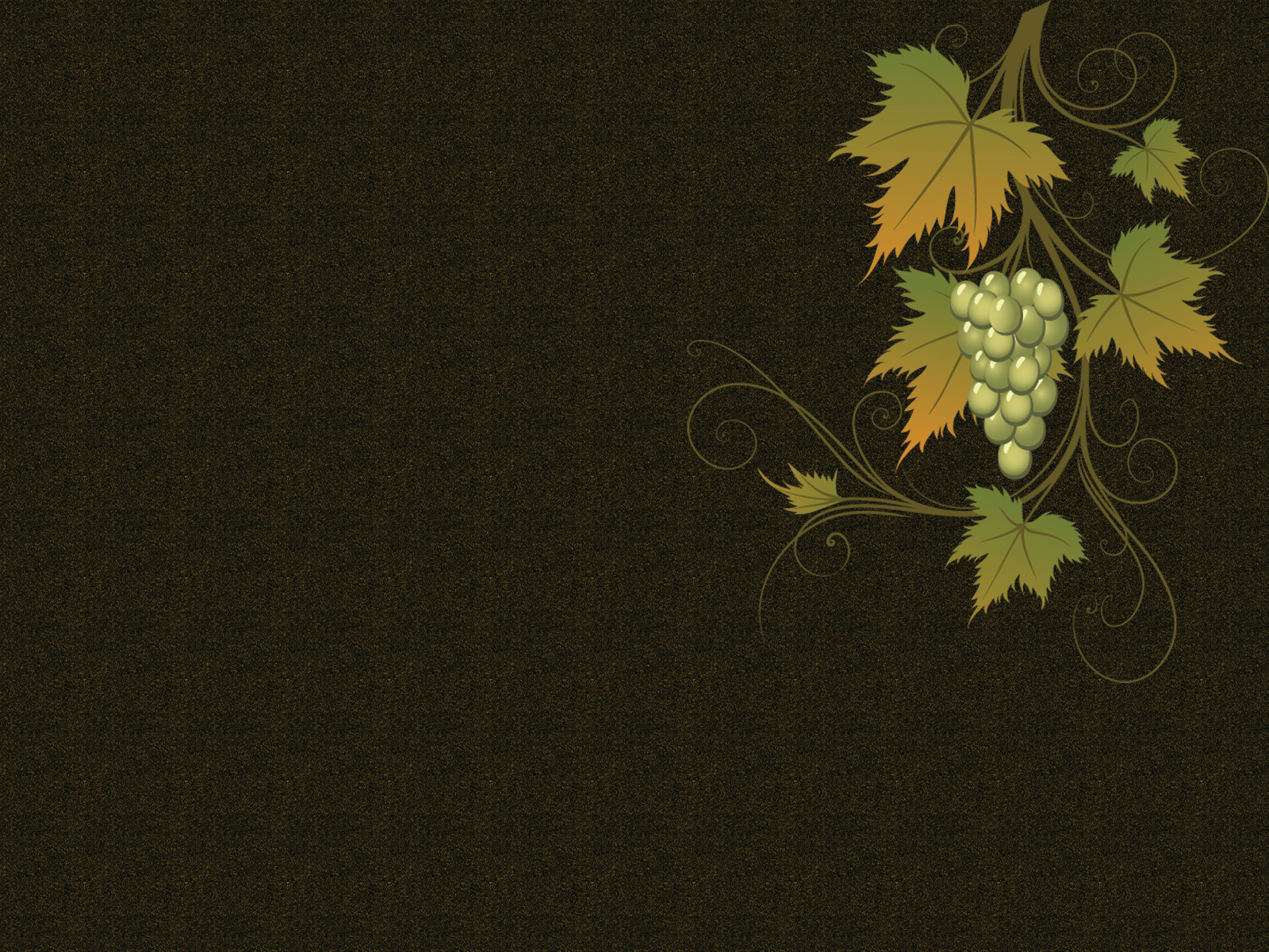 Grape vine vector