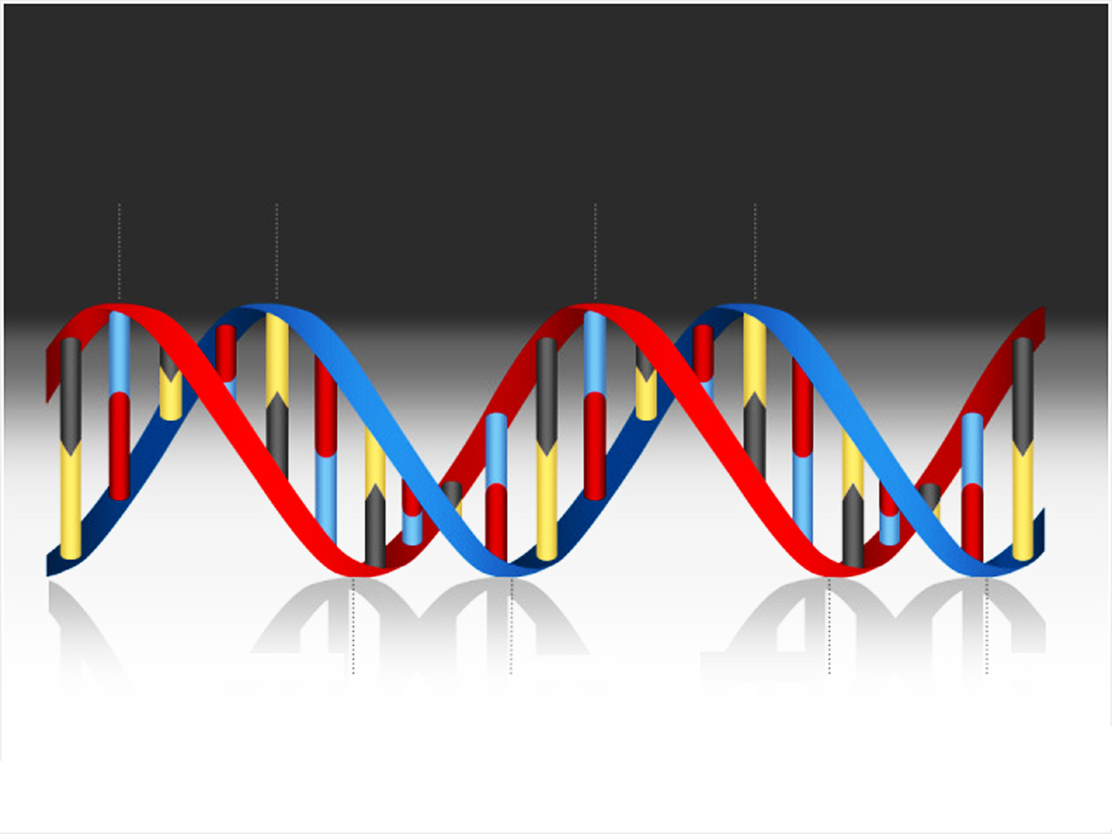 DNA Medical Helix