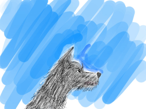 Dog on Blue