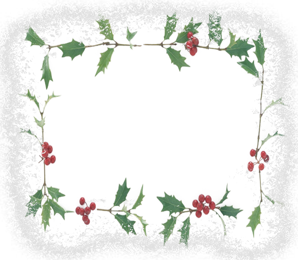 Flower christmas texture frame