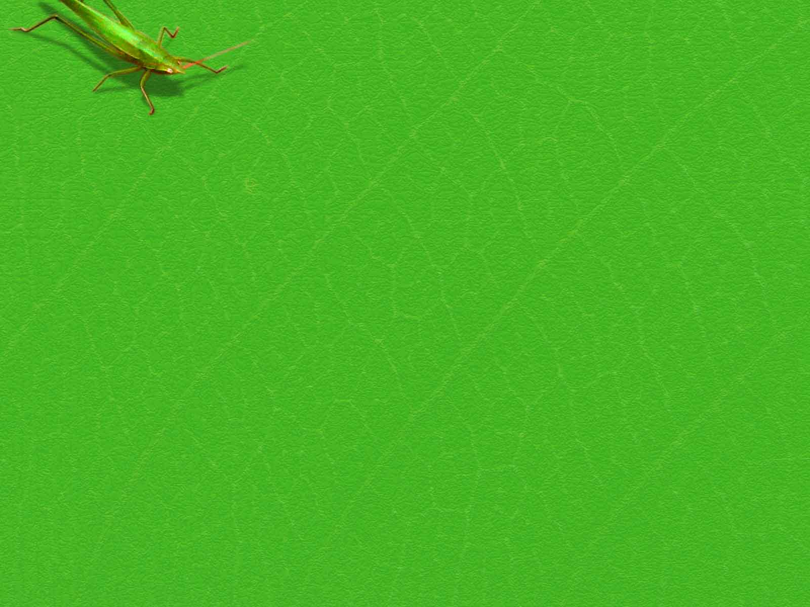 Grasshoper PPT Backgrounds