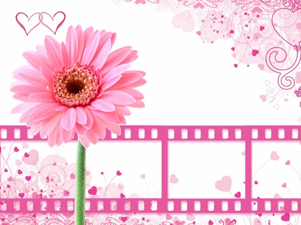 Pink Film PPT Background Background for Powerpoint Program