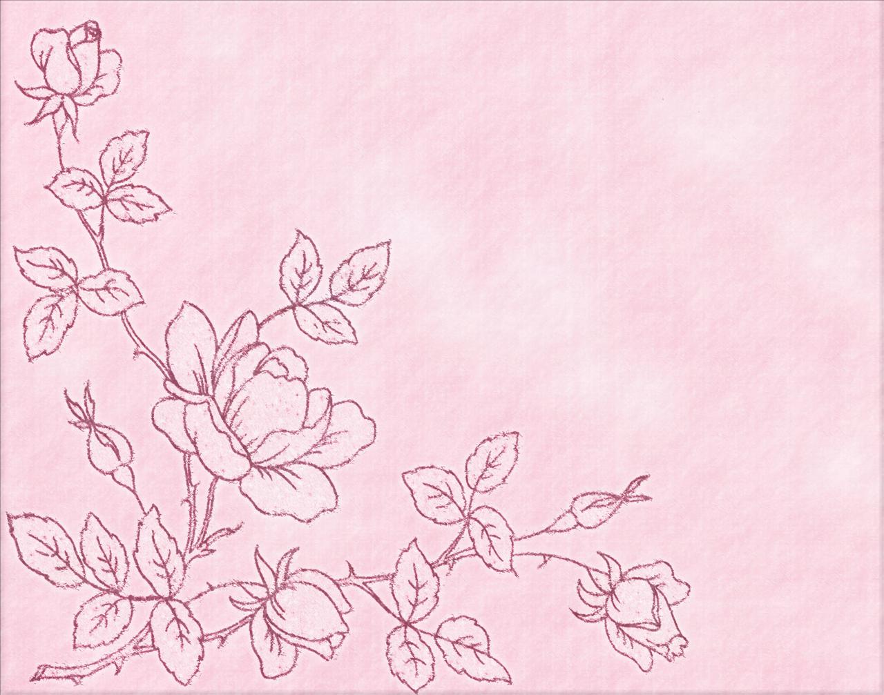 Pink roses garden