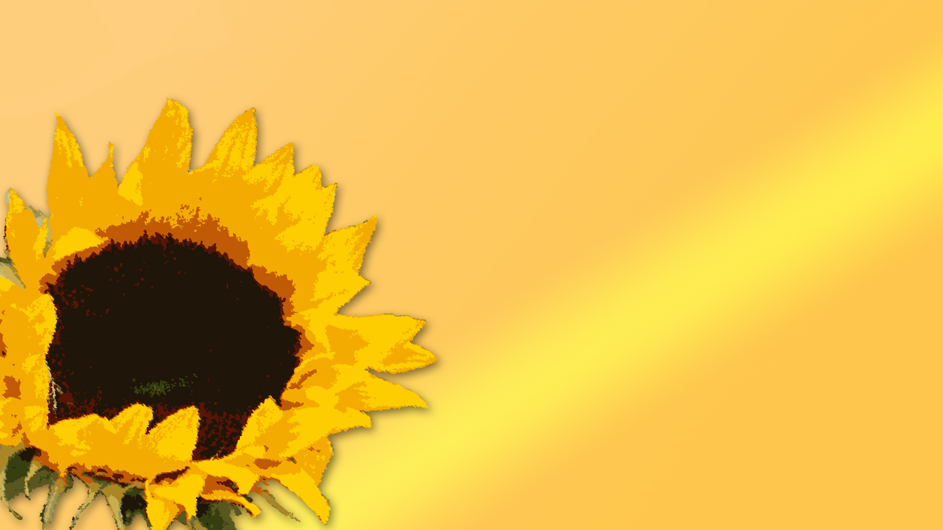 Sun Flower Presentation