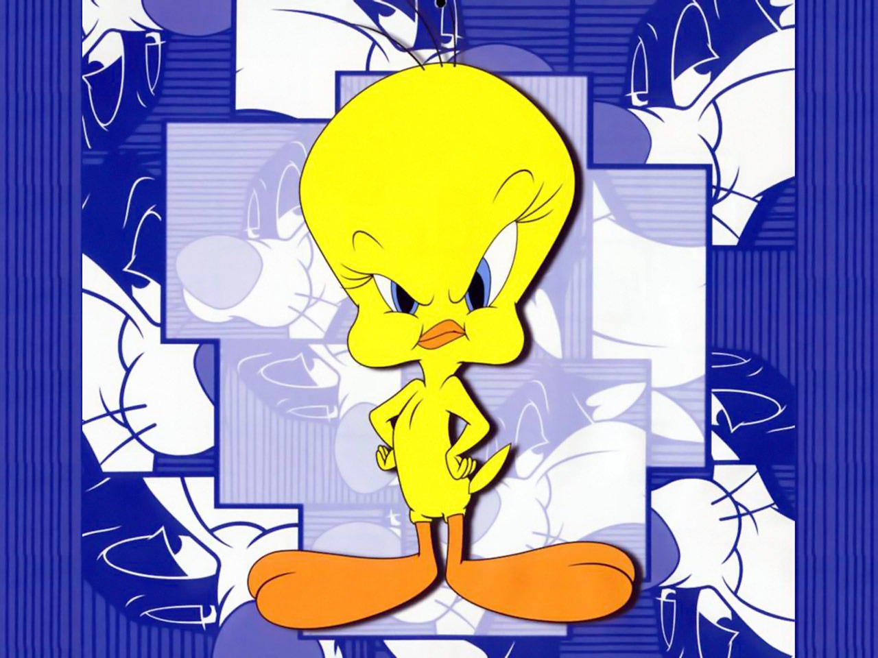 Tweety cartoons PPT Backgrounds