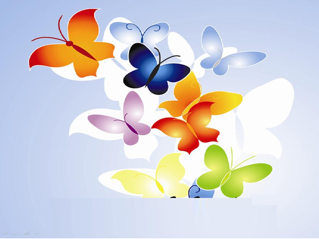 Butterfly Multi Color PPT templates