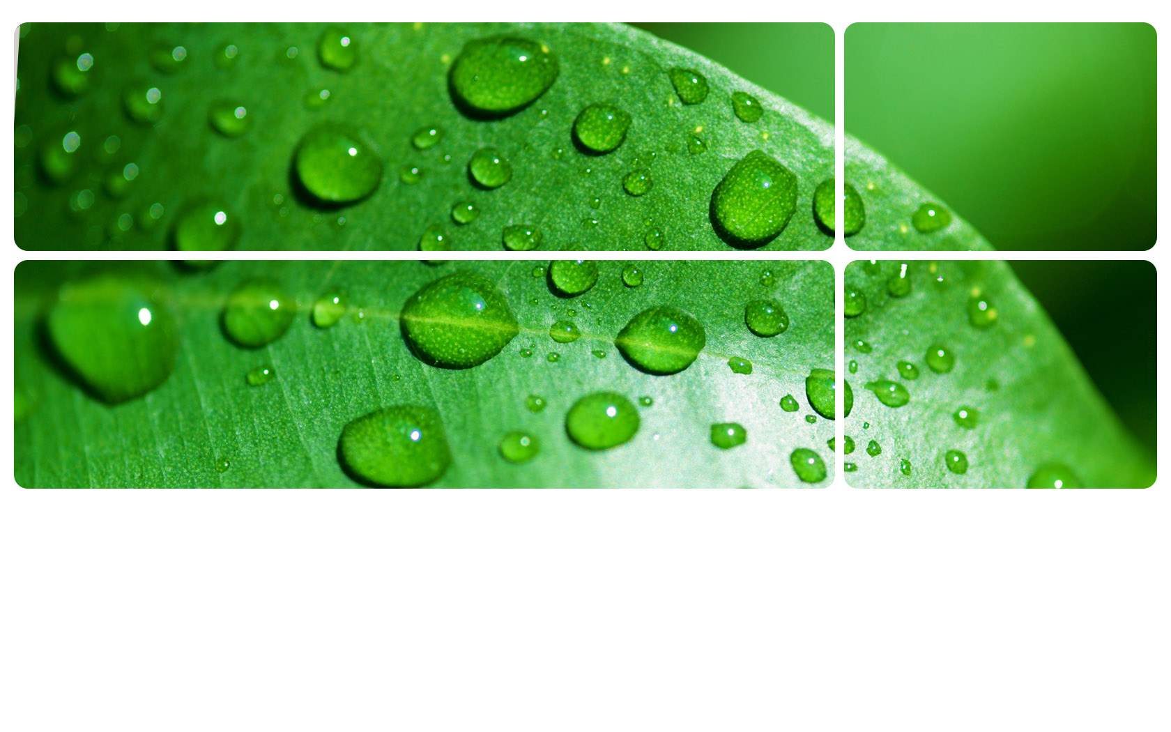 Water Drops powerpoint Template PPT Backgrounds Templates
