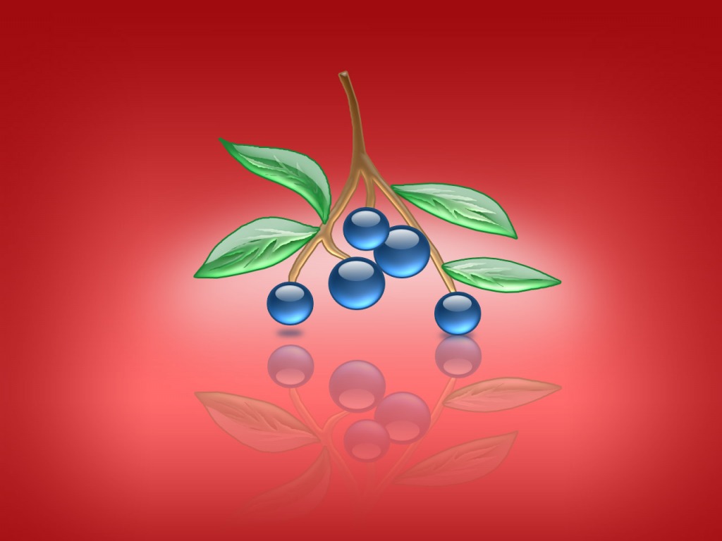 Aqua Blueberries PPT Backgrounds