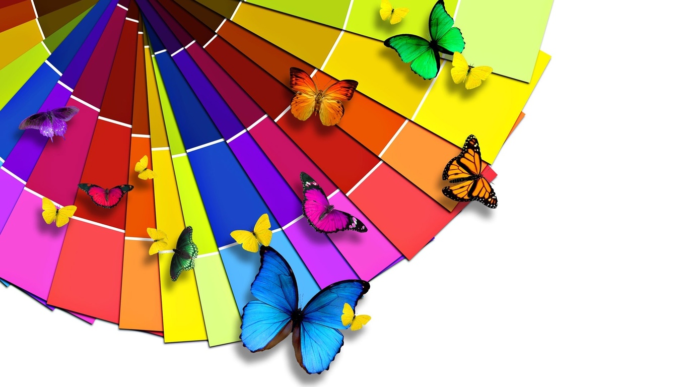 color, paper, butterfly PPT Backgrounds