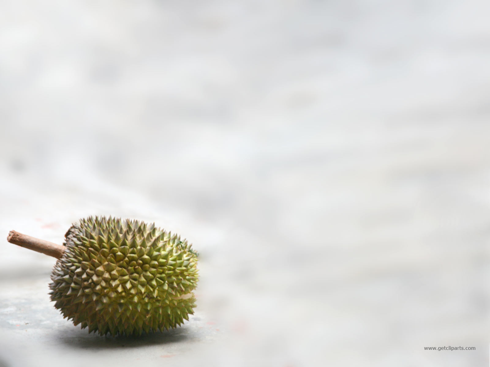 Durian PPT Backgrounds