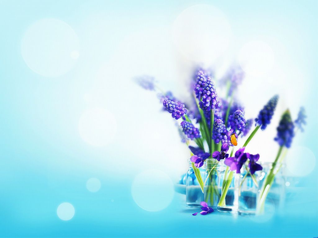 Elegant lavender PPT Backgrounds