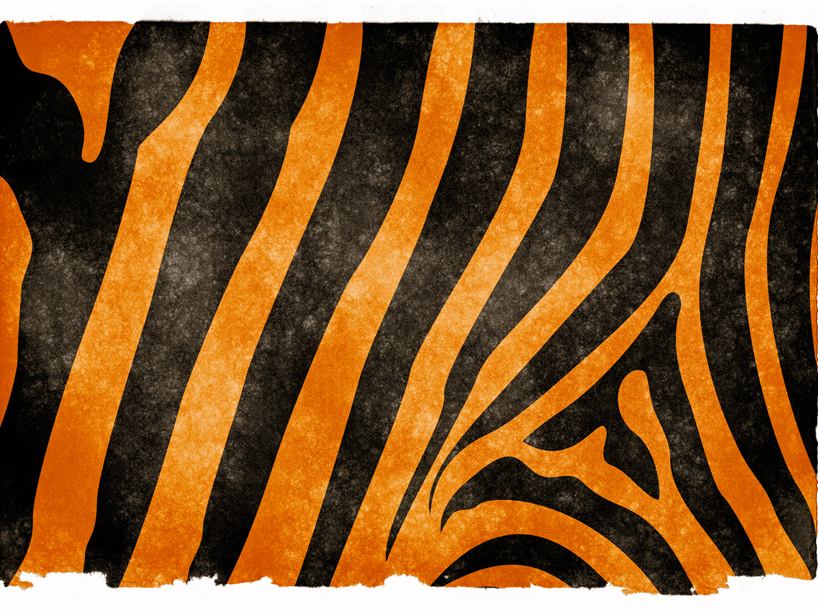 Tiger stripes grunge paper PPT Backgrounds