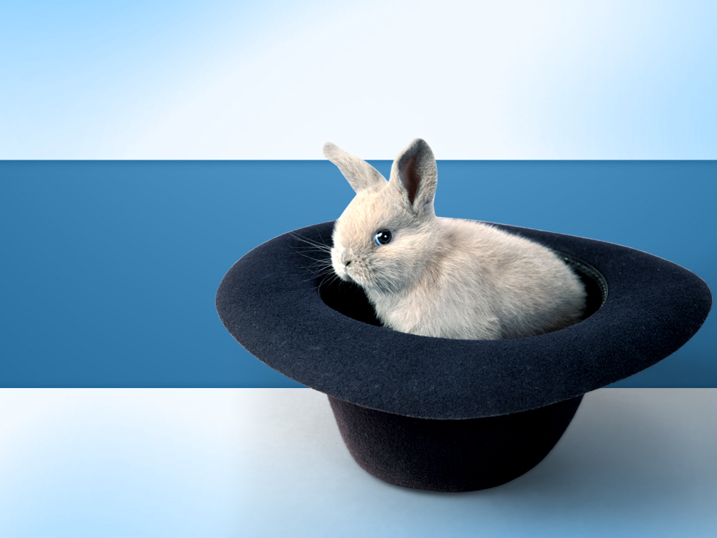 Bunny in Hat PowerPoint PPT templates