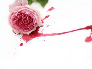 A Rose Flower in Blood PPT templates
