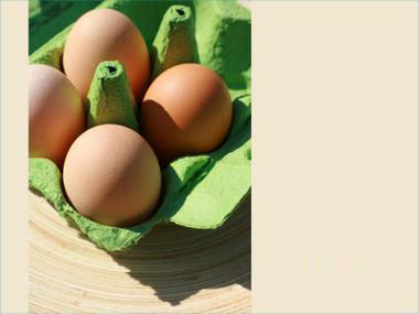 Eggs Pack PPT templates