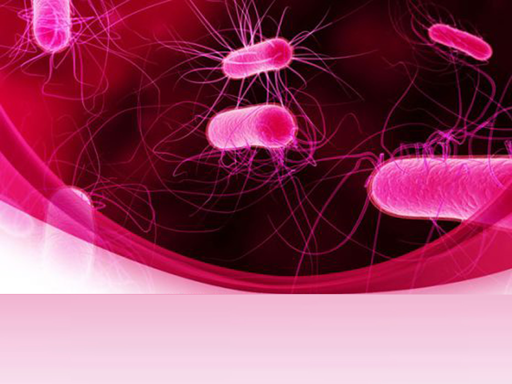 Powerpoint Bacteria PPT templates